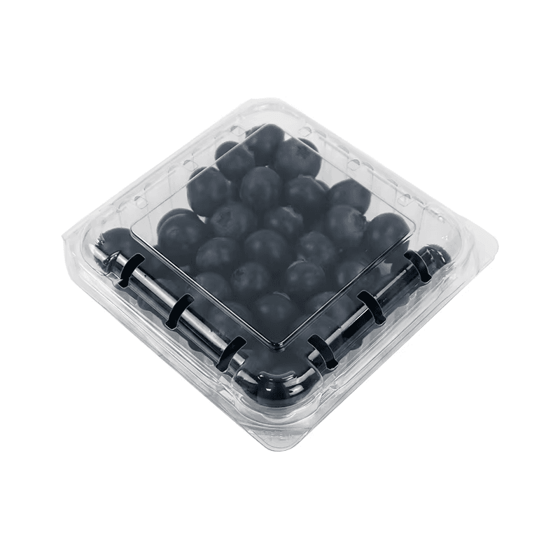 Blueberries